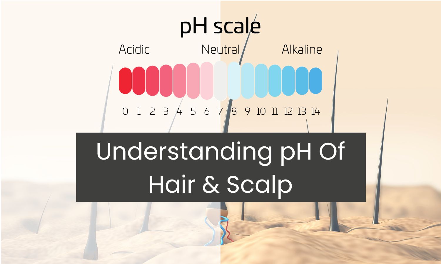 pH of Your Hair and Scalp