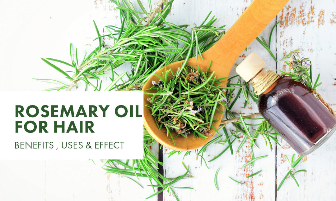Rosemary oil for hair: Benefits, Uses and Effect