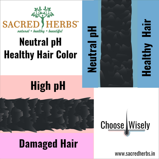 Super Value Pack Burgundy Hair Color