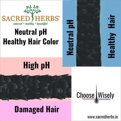 DOM Combo Burgundy 3.60 Sacred Herbs® Botanically Activated Gel Hair Color