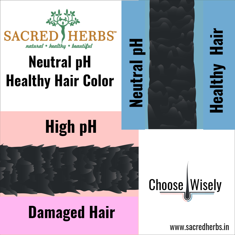 DOM Combo Pack Light Brown 5.00 Sacred Herbs® Botanically Activated Gel Hair Color